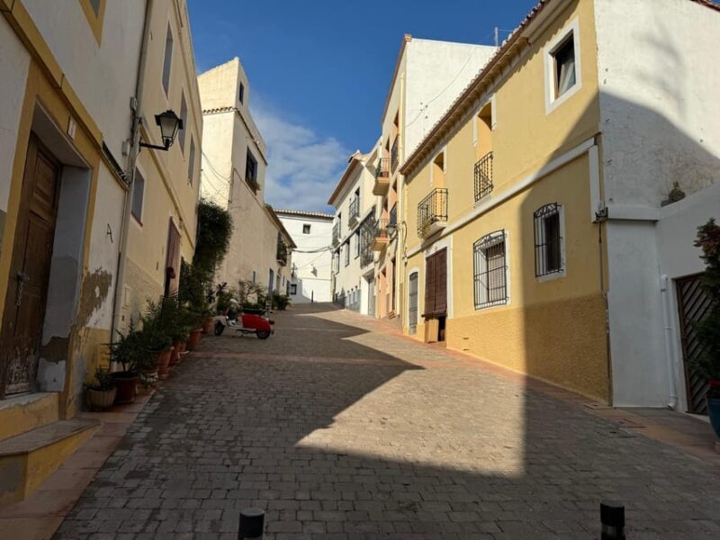 From Albir & Benidorm: Calpe Old Town and Port Day Trip - Key Points