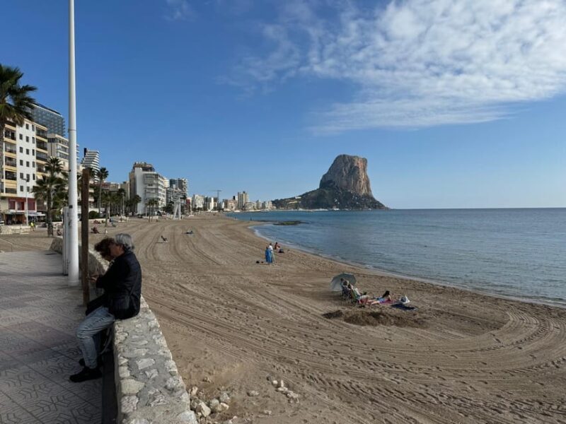 From Albir & Benidorm: Calpe Old Town and Port Day Trip - Who Would Love This Tour?