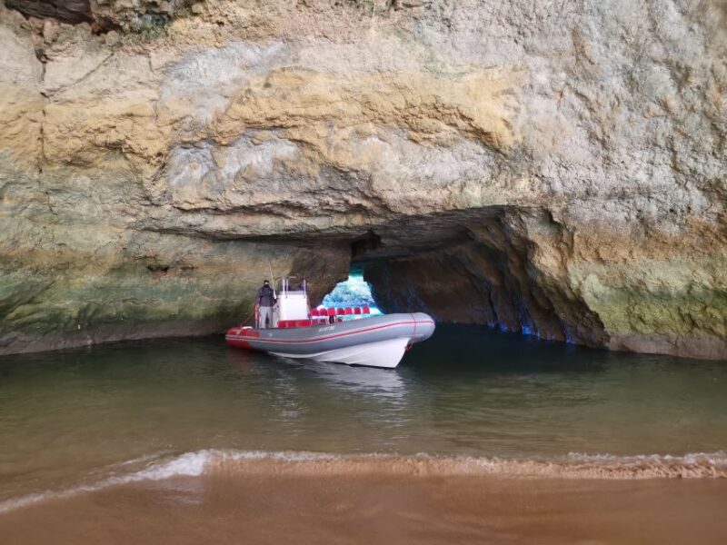 From Albufeira: Benagil Caves and Dolphins Guided Boat Tour - A Deep Dive into the Tour Experience