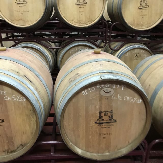 From Albufeira: Full-Day Wine Tasting Tour with a Guide - From Albufeira: Full-Day Wine Tasting Tour with a Guide