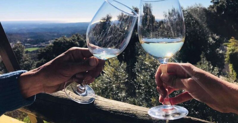 From Albufeira: Full-Day Wine Tasting Tour with a Guide - What’s Included and What’s Not
