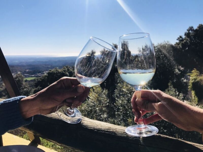 From Albufeira: Full-Day Wine Tasting Tour with a Guide - Who Will Love This Tour?