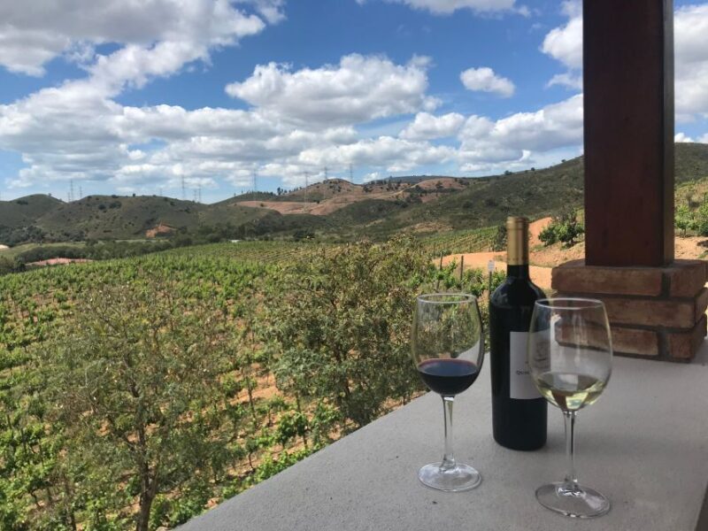 From Albufeira: Full-Day Wine Tasting Tour with a Guide - Final Thoughts