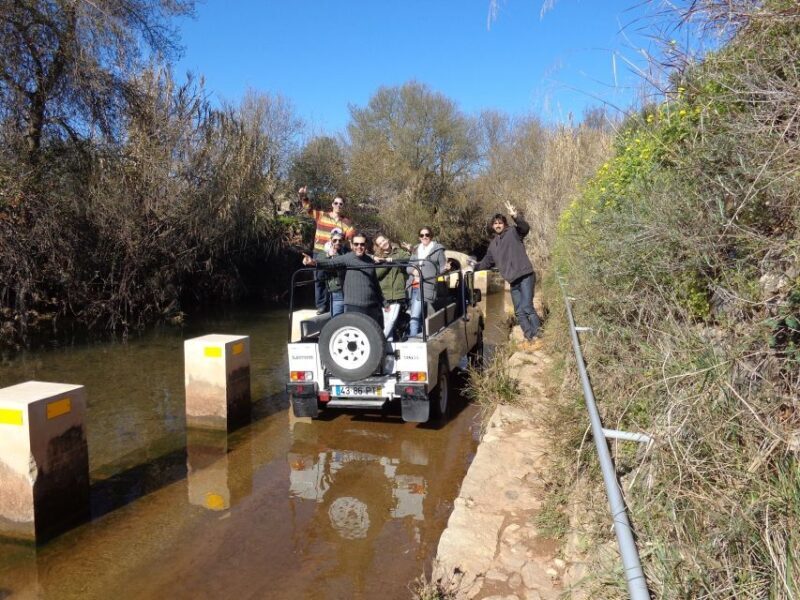 From Albufeira: Half-Day Algarve Jeep Safari - Authenticity and Value