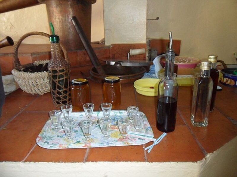 From Albufeira: Half-Day Algarve Jeep Safari - Who Will Love This Tour?