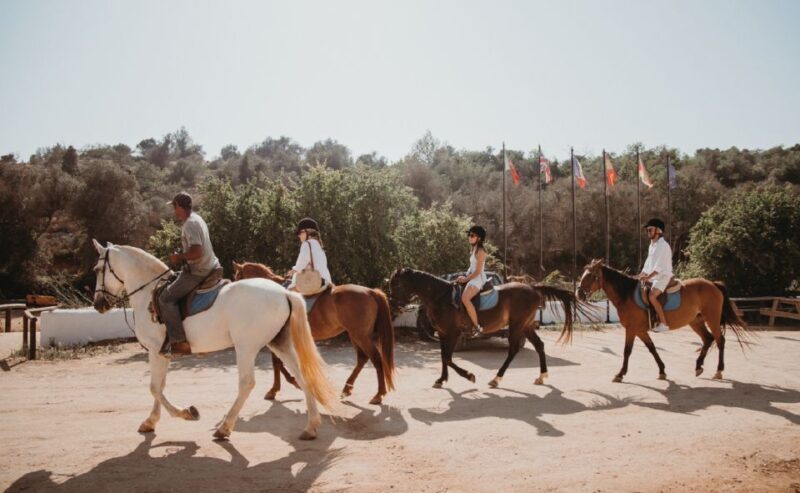 From Albufeira: Half-Day Hidden Gems & Horse Riding Tour - Who Would Enjoy This Tour?