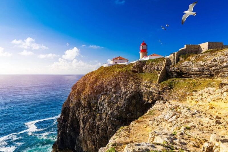 From Albufeira: Half-Day Lagos & Sagres Highlights Tour - Who Will Love This Tour?