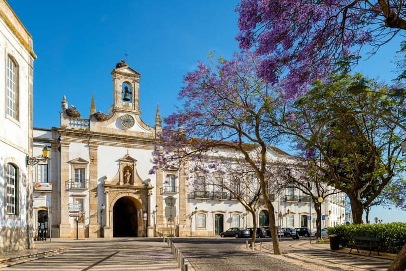 From Albufeira: Loule, Faro, and Tavira Guided Day Trip - Final Thoughts