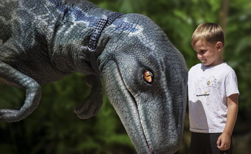 From Alcúdia: Dinosaurland and Hams' Caves Half-Day Trip - Key Points