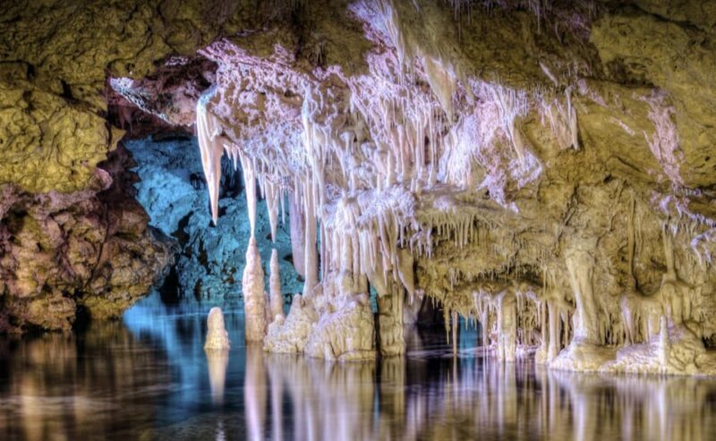 From Alcúdia: Dinosaurland and Hams' Caves Half-Day Trip - Final Thoughts