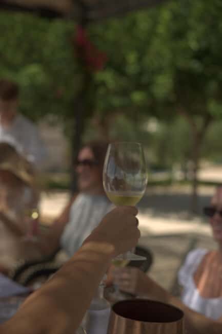From Alicante: 2 Premium Wine Tastings and Tapas - Key Points