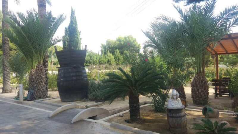 From Alicante: 3 Generation Family Owned Winery  4 testings - An In-Depth Look at the Experience