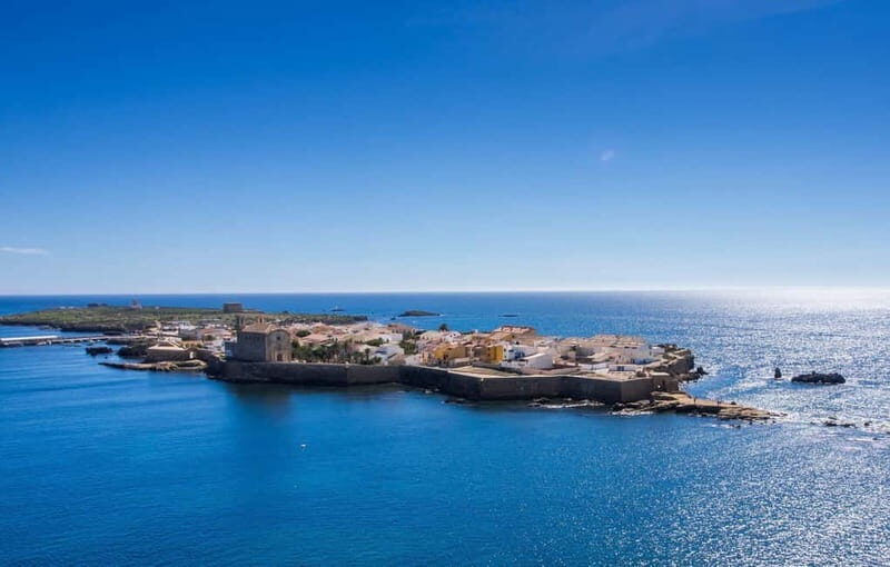 From Alicante/Benidorm: Tabarca Island & Santa Pola Salinas - Who Will Love This Tour?