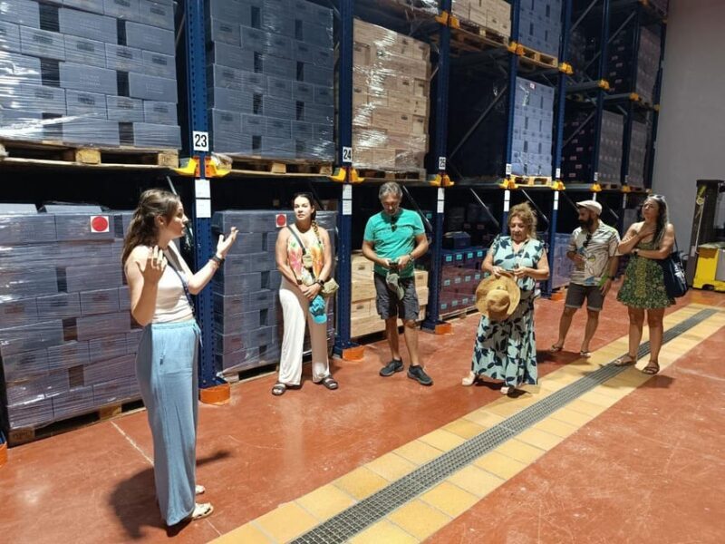 From Alicante ,Benidorm: Winery Tour and Wine Tasting - An In-Depth Look at the Winery Tour and Wine Tasting Experience