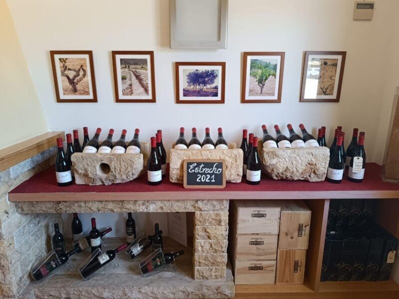 From Alicante ,Benidorm: Winery Tour and Wine Tasting - Final Thoughts