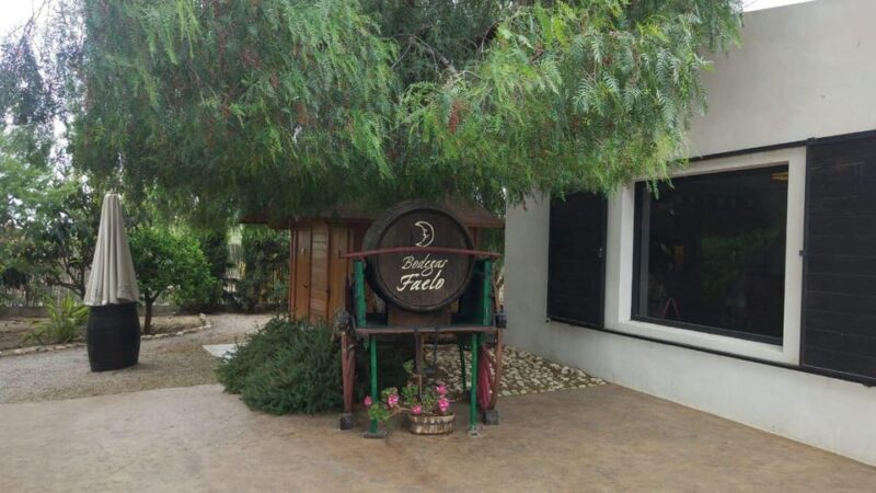From Alicante: Best Winery Tour and Wine Tasting - Key Points