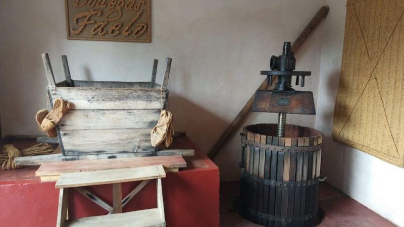 From Alicante: Best Winery Tour and Wine Tasting - What’s the Value Here?