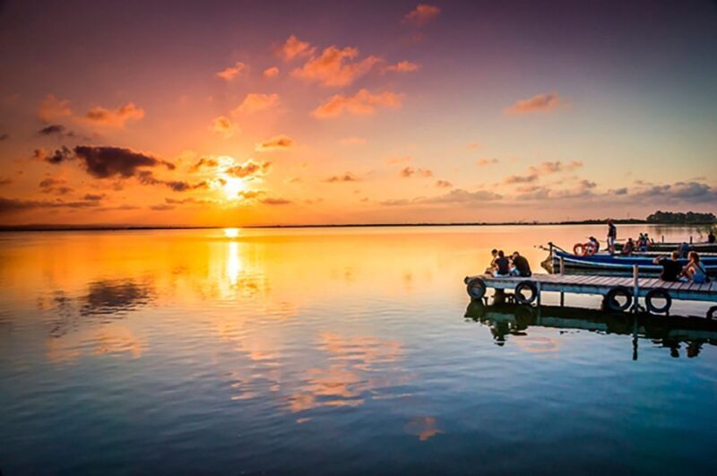 From Alicante: Cullera Old Town and Albufera Natural Park - Practical Details and Tips