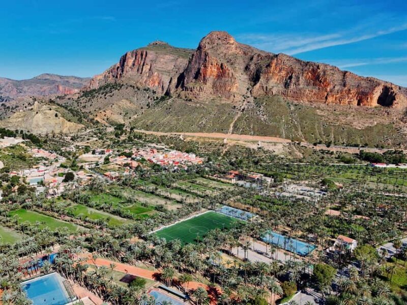 From Alicante: Elche Half-Day of Palms, History & Heritage - A Closer Look at the Tour Experience