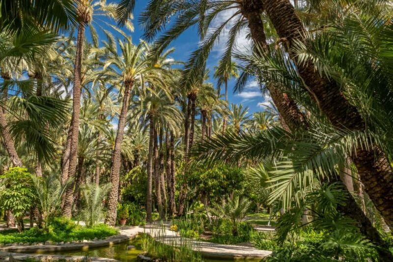 From Alicante: Elche Half-Day of Palms, History & Heritage - Exploring the Huerto del Cura Garden