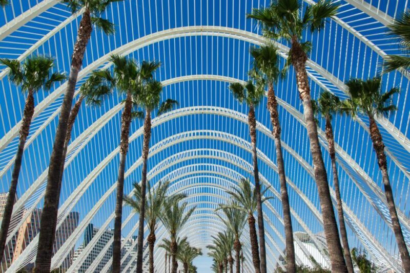 From Alicante: Valencia Full-Day Guided Tour - Final Thoughts on Value and Suitability