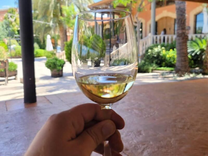 From Alicante: Winery Tour and Wine Tasting with Tapas - Key Points
