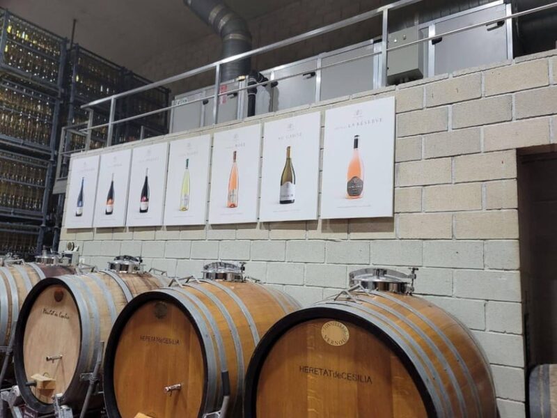 From Alicante: Winery Tour and Wine Tasting with Tapas - Frequently Asked Questions (FAQs)