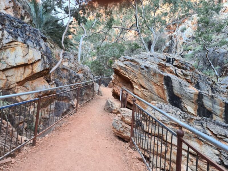 From Alice Spring: West MacDonnell Ranges Half-Day Tour - What Makes This Tour Stand Out