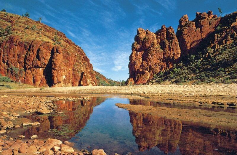 From Alice Springs: Palm Valley 4WD Outback Safari + Picnic - The Picnic Experience