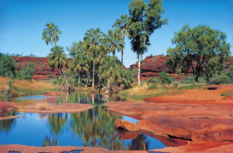 From Alice Springs: Palm Valley 4WD Outback Safari + Picnic - Authenticity and Local Insights