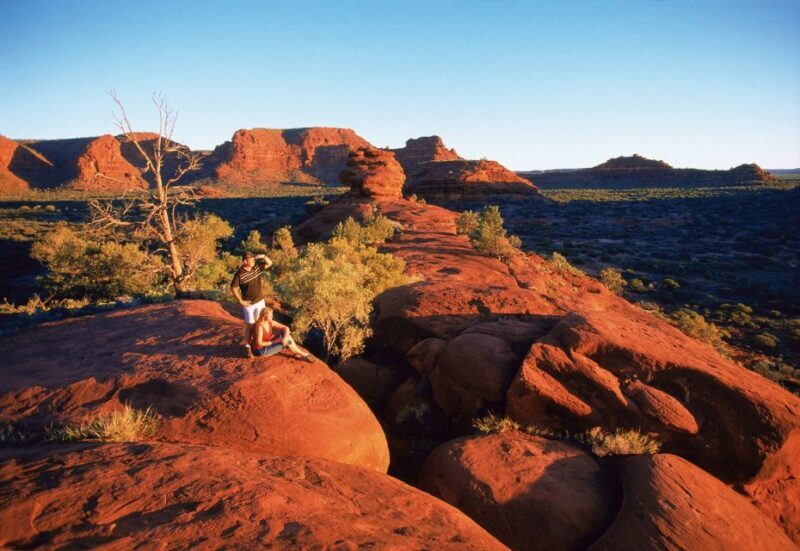 From Alice Springs: Palm Valley 4WD Outback Safari + Picnic - The Return Journey