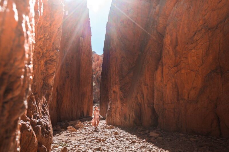 From Alice Springs: West MacDonnell Ranges Half Day Trip - Who This Tour Suits Best