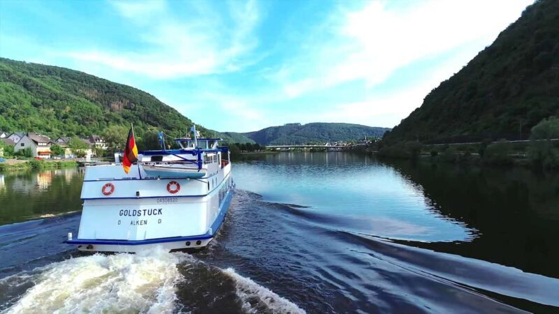 From Alken: Moselle Valley Sightseeing Cruise - The Experience in Detail