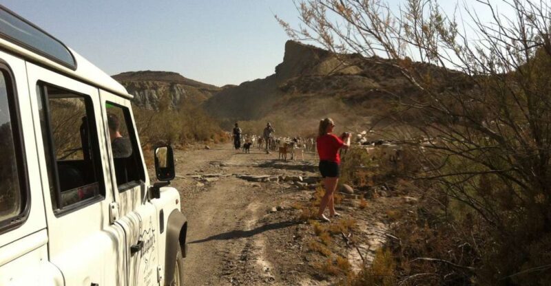 From Almeria: Tabernas Desert 4WD joyriding Tour - Key Points