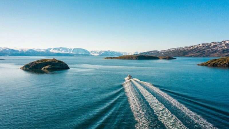 From Alta: Adventure Cruise in Alta Fjord - From Alta: Adventure Cruise in Alta Fjord