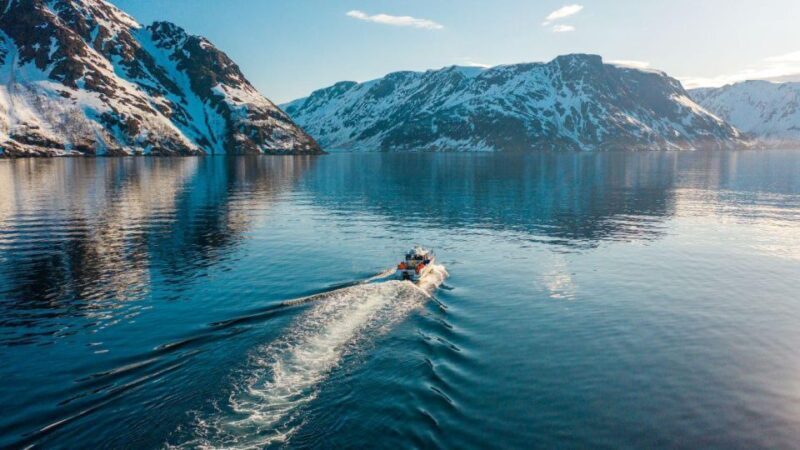 From Alta: Adventure Cruise in Alta Fjord - The Sum Up
