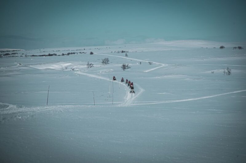 From Alta: Daytime Snowmobile Adventure - Exploring the Experience in Detail