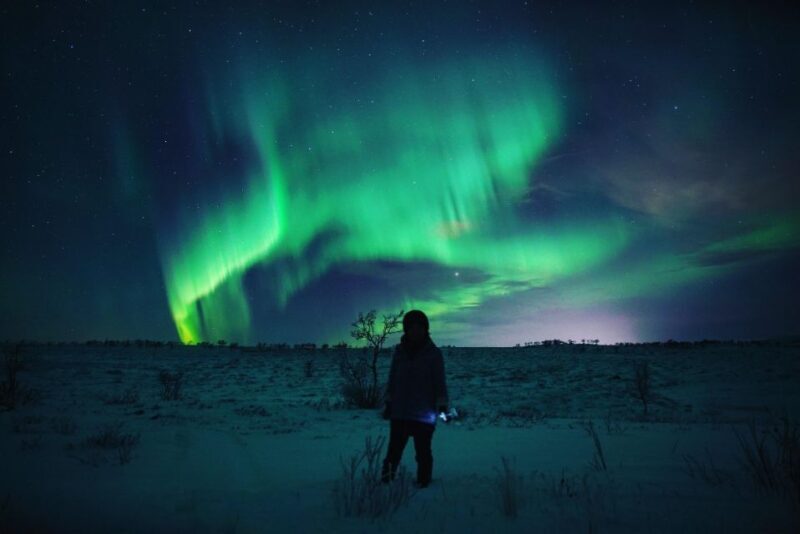 From Alta: Nighttime Northern Lights Spotting Tour - Detailed Review of the Northern Lights Tour