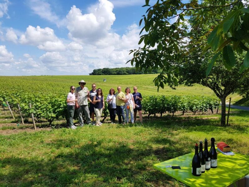 From Amboise: Villandry, Azay-le-Rideau & Winery - Final Thoughts