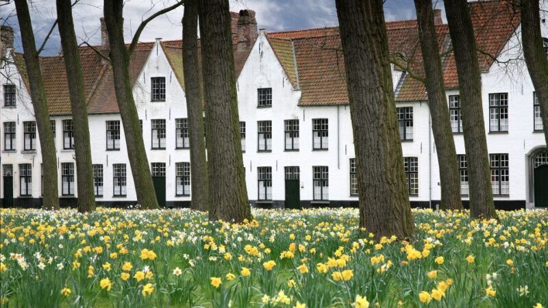 From Amsterdam: Bruges Guided Day Trip in English - Who Should Book This Tour?