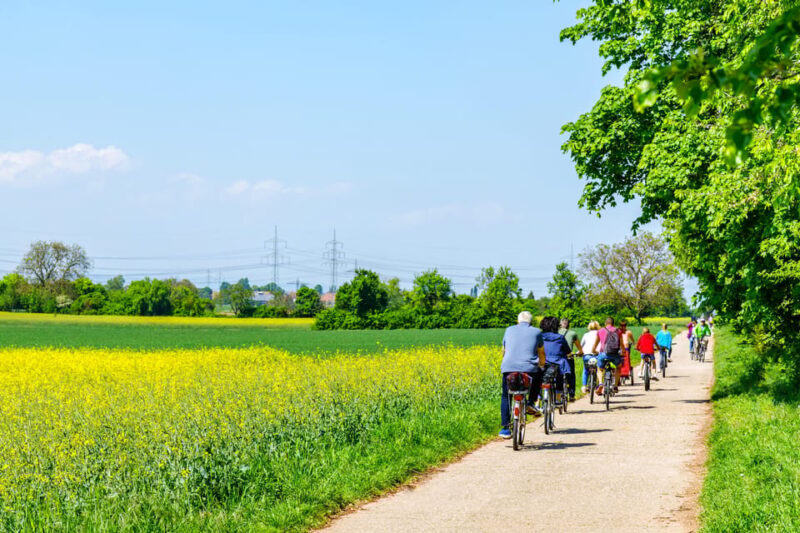 From Amsterdam: Countryside Bike Tour with Cheese Tasting - What’s Included and What’s Not