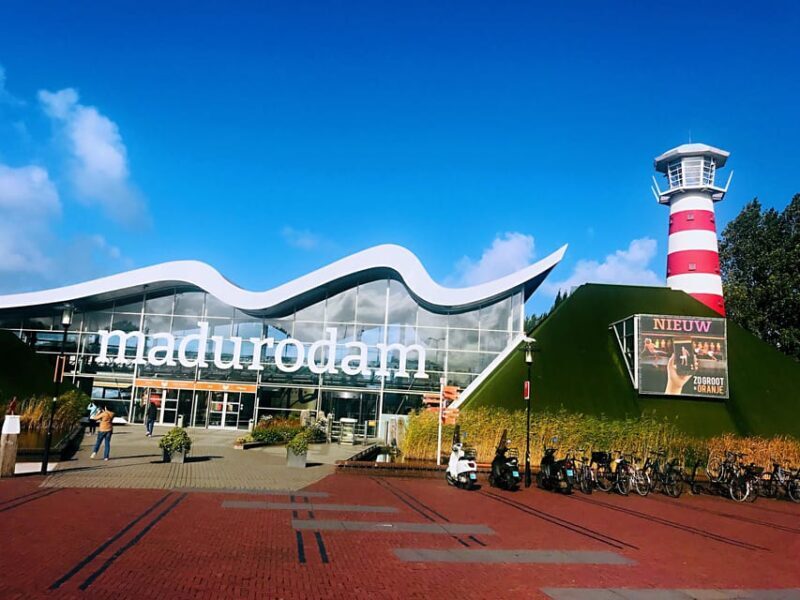From Amsterdam: Day Tour to Rotterdam, Delft and The Hague - An In-Depth Look at the Tour