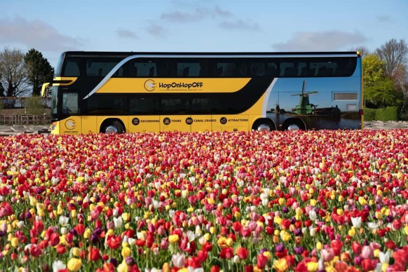 From Amsterdam: Day Trip Madurodam and Keukenhof Gardens - Who Should Consider This Tour?