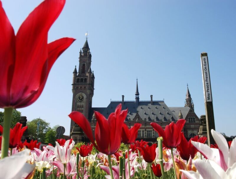 From Amsterdam: Guided Trip to Rotterdam, Delft & The Hague - From Amsterdam: Guided Trip to Rotterdam, Delft & The Hague