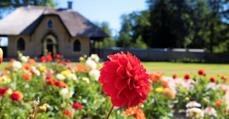 From Amsterdam: Holland Flower and Windmill Tour - summer ed - FAQ