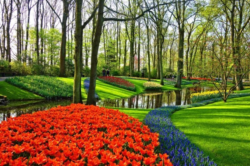 From Amsterdam: Keukenhof Gardens and Giethoorn Tour - Key Points