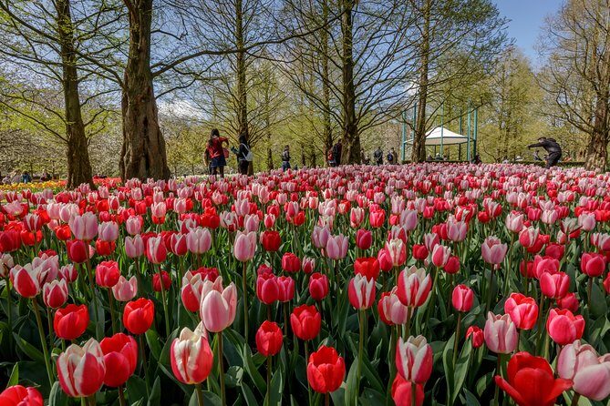 From Amsterdam: Keukenhof Gardens Ticket and Transfer - Final Thoughts