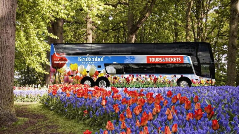From Amsterdam: Keukenhof Shuttlebus and Entry Ticket - Who This Tour Is Best For