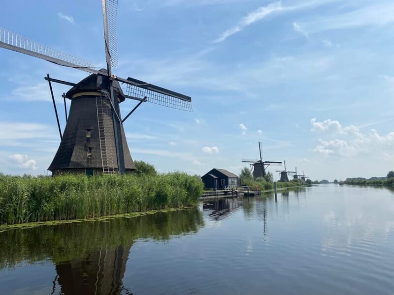 From Amsterdam: Kinderdijk, Delft & Mauritshuis Private Tour - Key Points