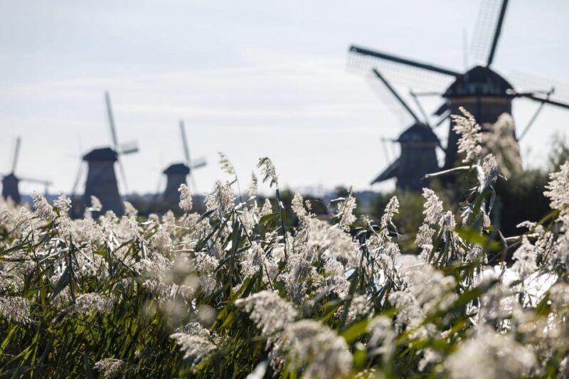 From Amsterdam: Kinderdijk, Delft & Mauritshuis Private Tour - A Closer Look at the Tour Experience
